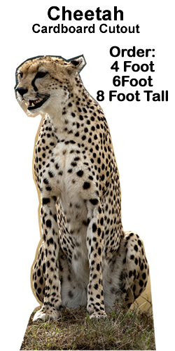 Cheetah Cardboard Cutout Standup Prop Cheetah Cardboard Cutout Standup Prop