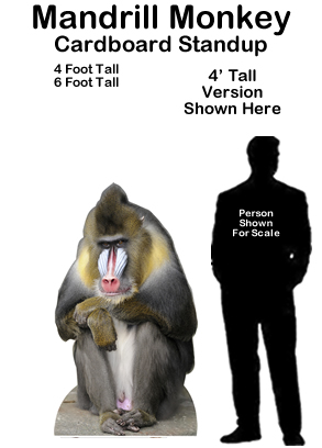 Mandrill Monkey Cardboard Cutout Standup Prop