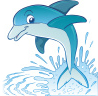Dolphin-1 Cardboard Cutout Standup Prop Dolphin-1 Cardboard Cutout Standup Prop