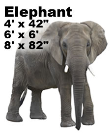 Elephant Side Cardboard Cutout Standup Prop Elephant Side Cardboard Cutout Standup Prop