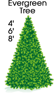Evergreen Tree Cardboard Cutout Standup Prop Evergreen Tree Cardboard Cutout Standup Prop