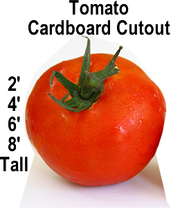Tomato Cardboard Cutout Standup Prop Tomato Cardboard Cutout Standup Prop