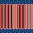 Cardboard Roll - Stars and Stripes - 48" x 25'