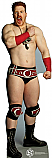 Sheamus - WWE Cardboard Cutout Standup Prop