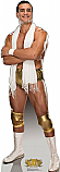 Alberto Del Rio - WWE Cardboard Cutout Standup Prop